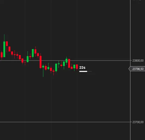 VizeBot Candle Timer en NinjaTrader 8