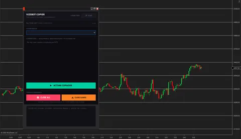 VizeBot Trade Copier en NinjaTrader 8
