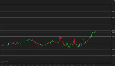 VizeBot Price Line en NinjaTrader 8
