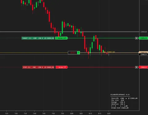 VizeBot Risk Panel en NinjaTrader 8