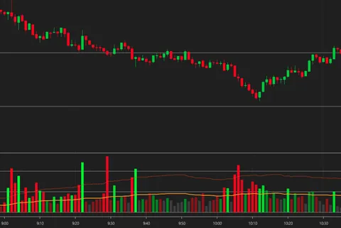 VizeBot Volume en NinjaTrader 8